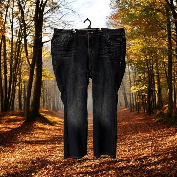 Lane Bryant Jeans, altered - Picture 5 of 13